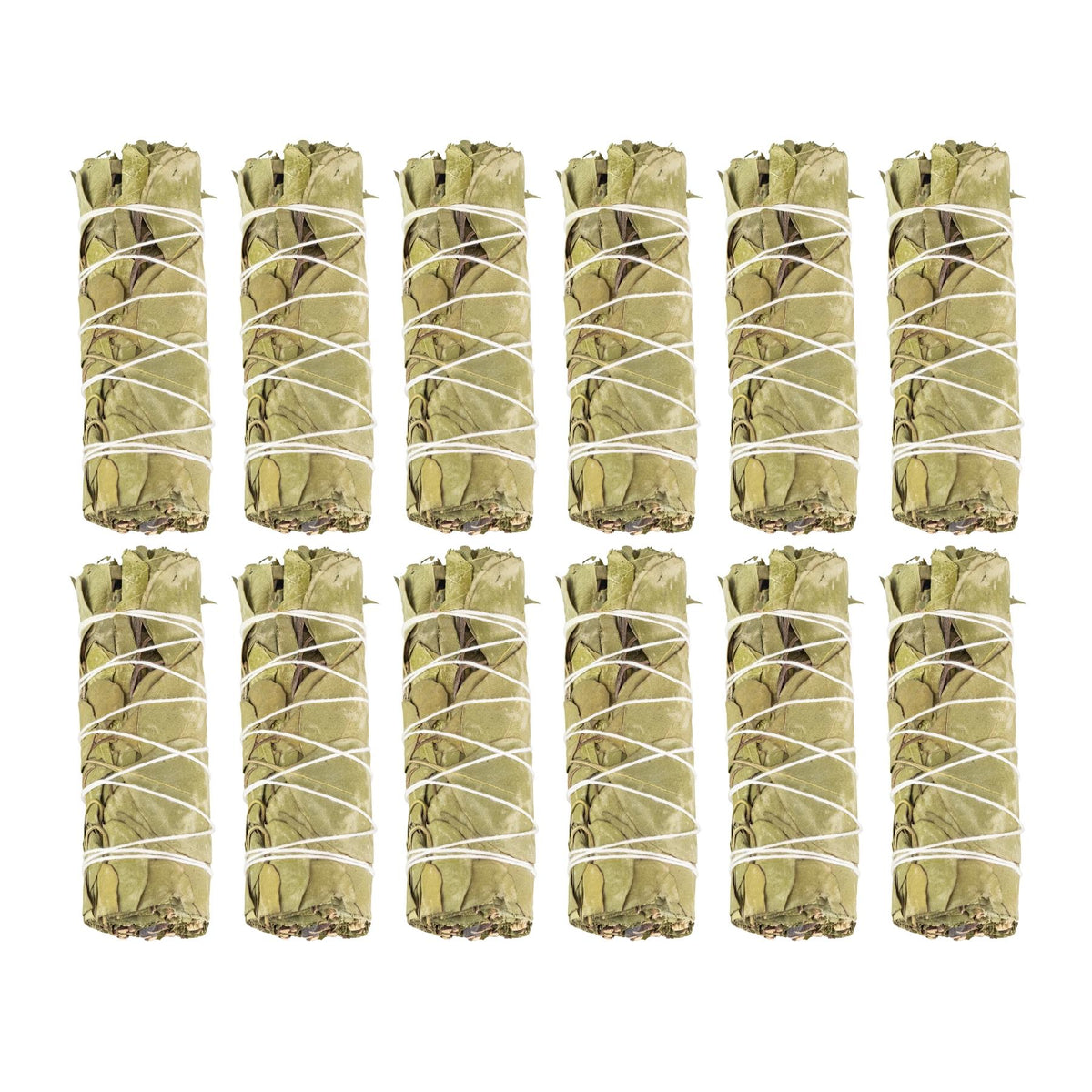 Eucalyptus Smudge Stick | Incense | Wiccan Center