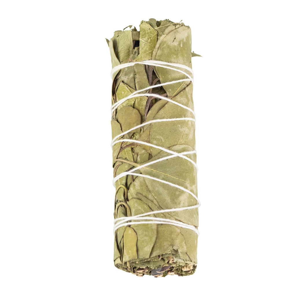 Eucalyptus Smudge Stick | Incense | Wiccan Center