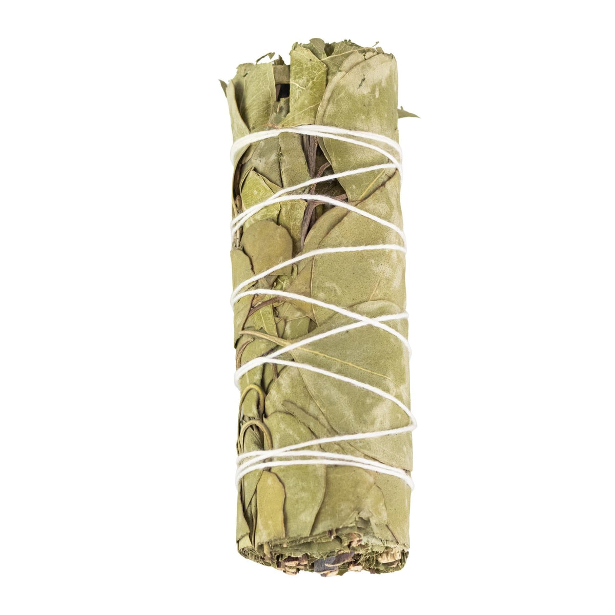 Eucalyptus Smudge Stick | Incense | Wiccan Center