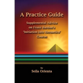 A Practice Guide: Supplemental Comments on Franz Bardon's Initiation into Hermetics Course - Paperback | Books | Wiccan Center