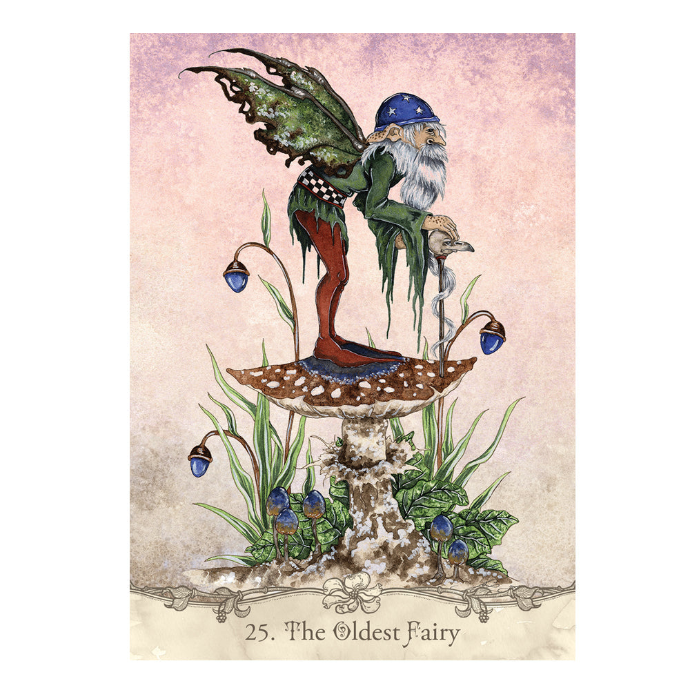 Fairy Wisdom Oracle Deck and Book Set | Tarot Cards | Wiccan Center