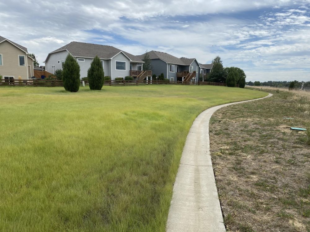 TrueGrass Native Grass Seed - The No Maintenance Native Lawn, Drought-Tolerant, Eco-Friendly Grass Blend | | Wiccan Center