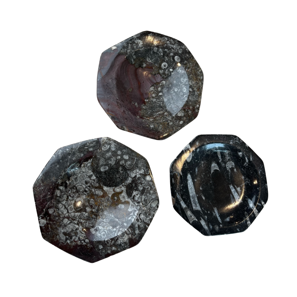 Fossil Stone Dish