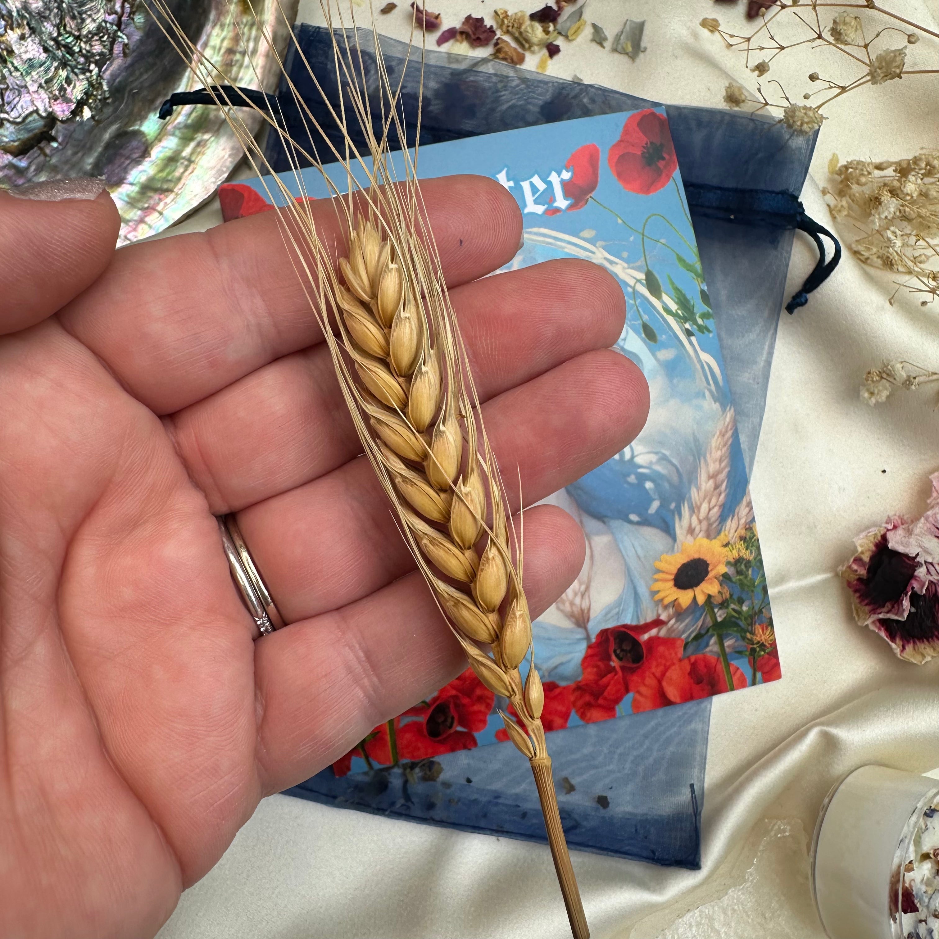 Demeter Goddess Kit | Goddess Kit | Wiccan Center