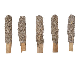 Palo Santo and Blue Sage | Smudge Sticks | Wiccan Center