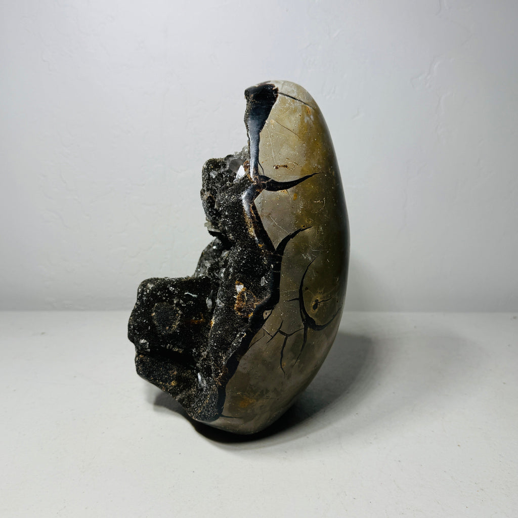 Large Black Septarian Dragon Stone Freeform with Crystal Accents – 11.3 lb Statement Specimen