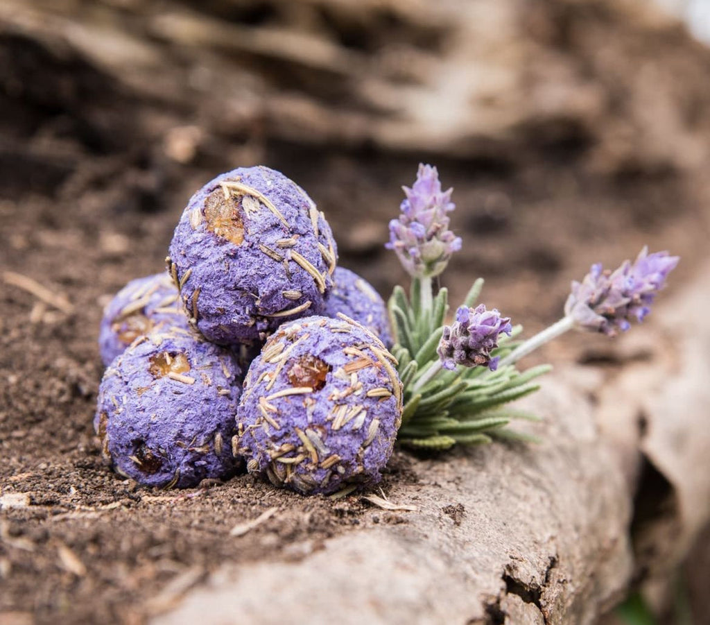Lavender Herbal Gift Box | Relaxation | Gift Box | Wiccan Center