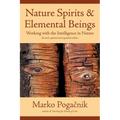 Nature Spirits & Elemental Beings: Working with the Intelligence in Nature - Paperback