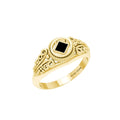 14K Solid Yellow Gold Power Celtic NA Symbol Ring With Inlaid Stone Progressive Faith Jewelry