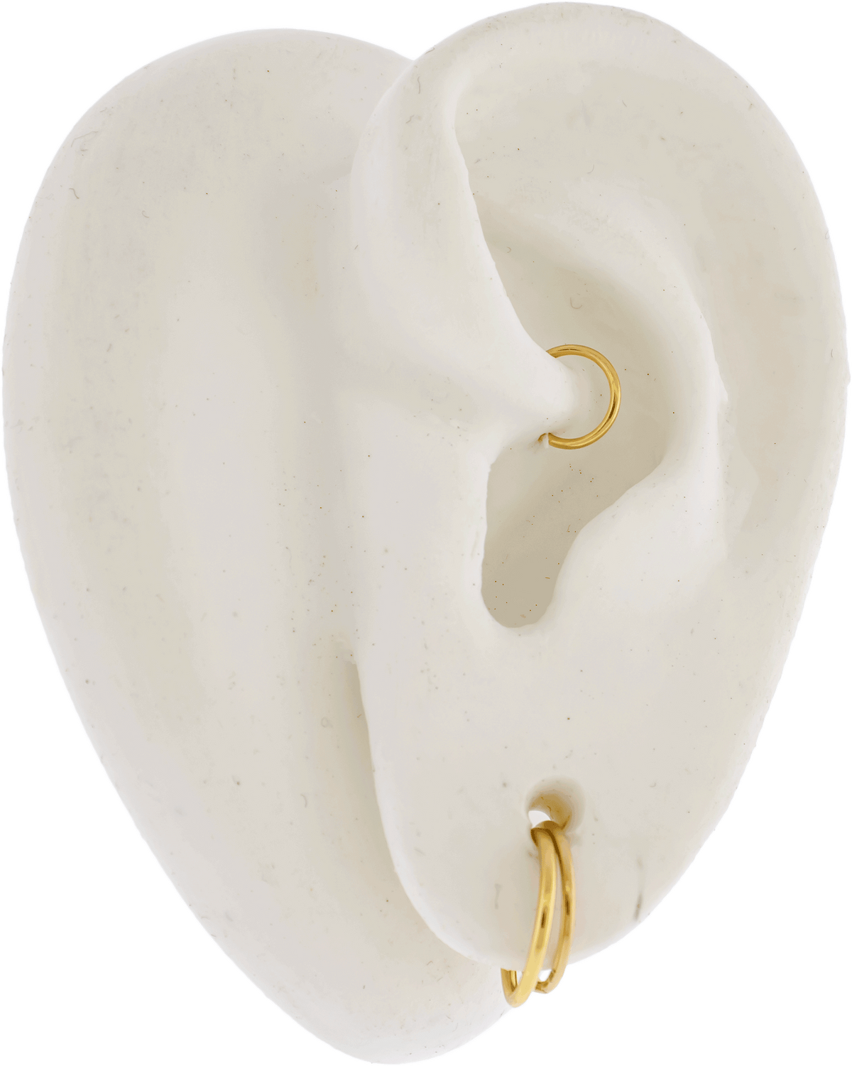 20G - 16G Steel PVD Coated Seamless Rings | Body Jewelry | Wiccan Center