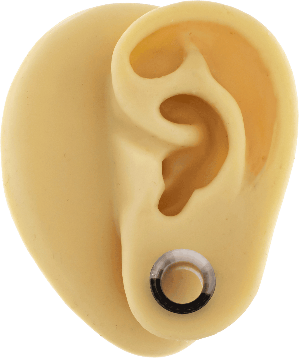 Pair Tuxedo Glass Single Flare Tunnel | | Wiccan Center