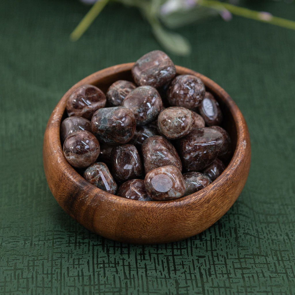 Garnet Tumbled 1lb | Rocks & Fossils | Wiccan Center