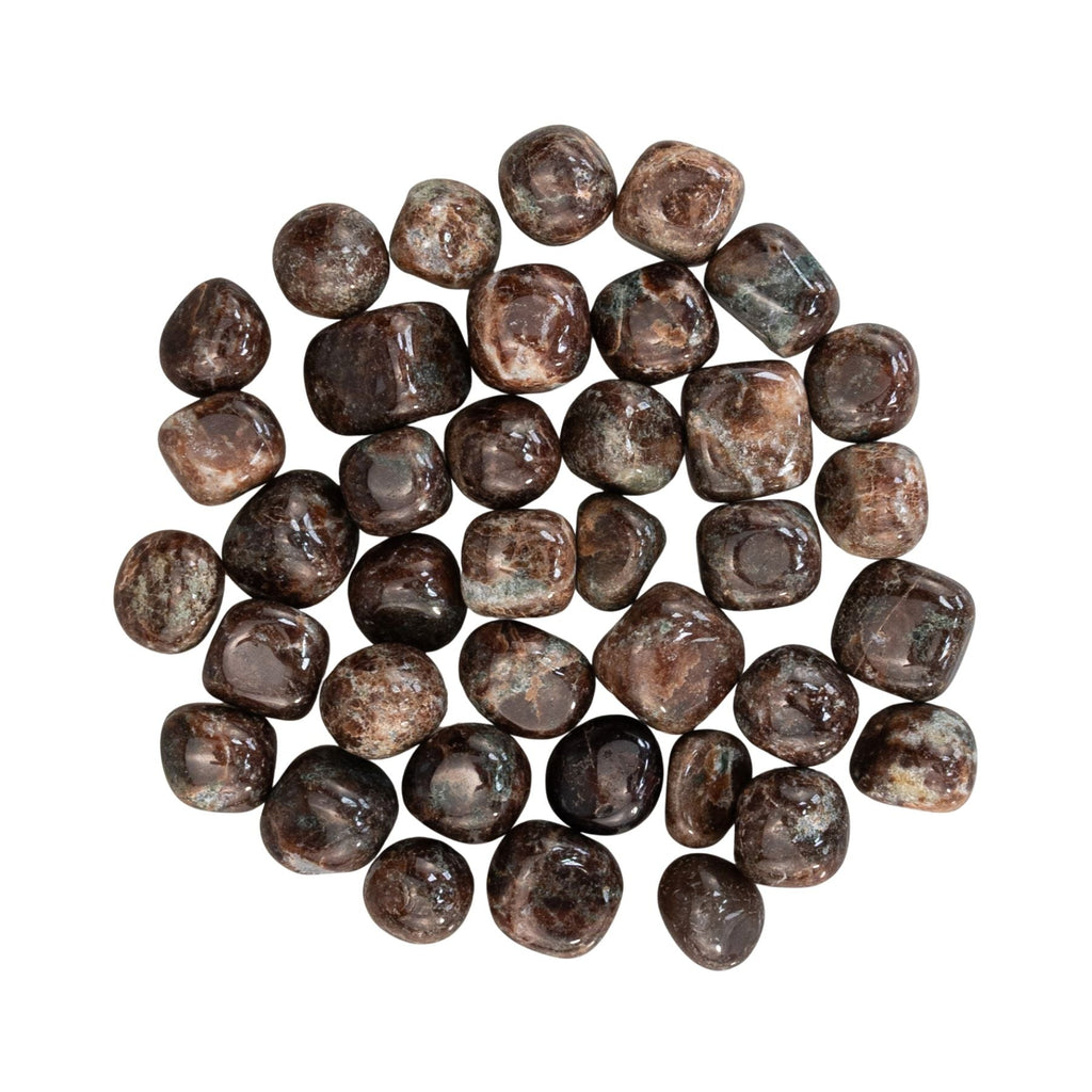 Garnet Tumbled 1lb | Rocks & Fossils | Wiccan Center