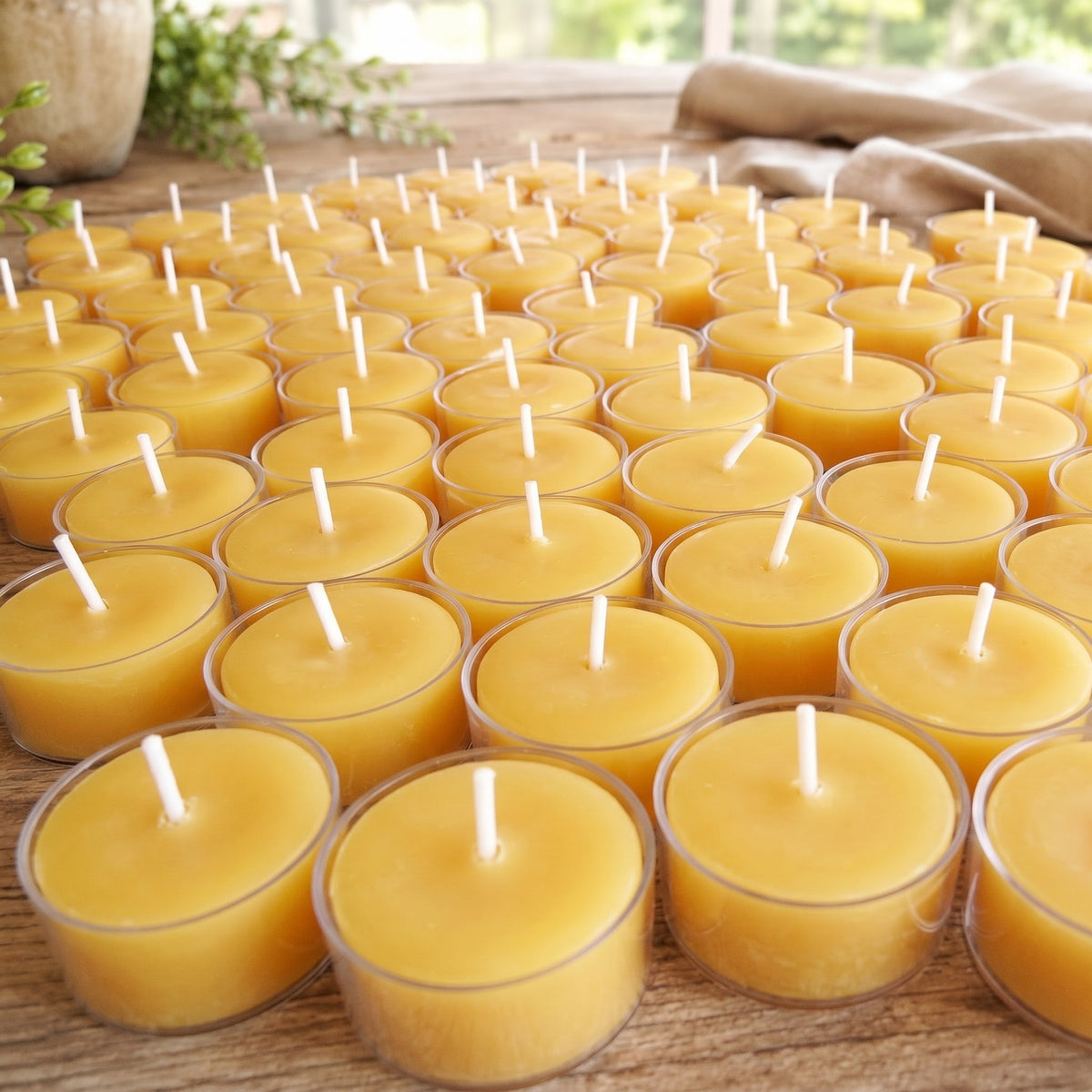 Clear Cupped Tealight Beeswax Candles BULK | Container Candles | Wiccan Center