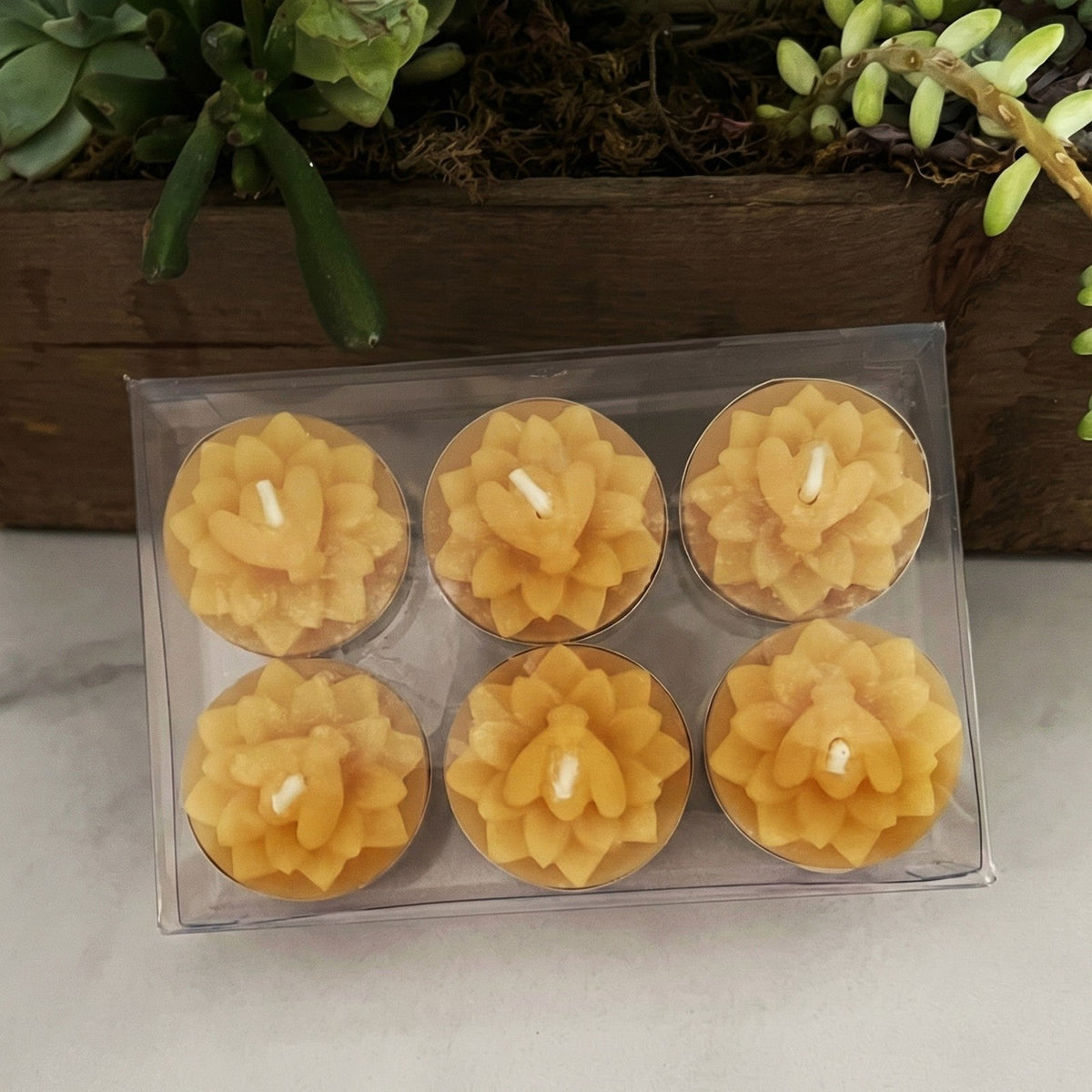 Honeybee Flower Beeswax Tealight Candles | Candles | Wiccan Center