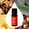 Planet Therapy Organic Germ Fighter Essential Oil - 10 Ml