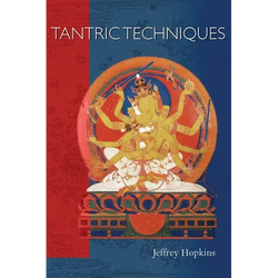 Tantric Techniques - Paperback | Books | Wiccan Center