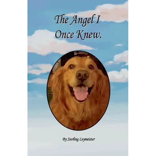 The Angel I Once Knew - Paperback | Books | Wiccan Center