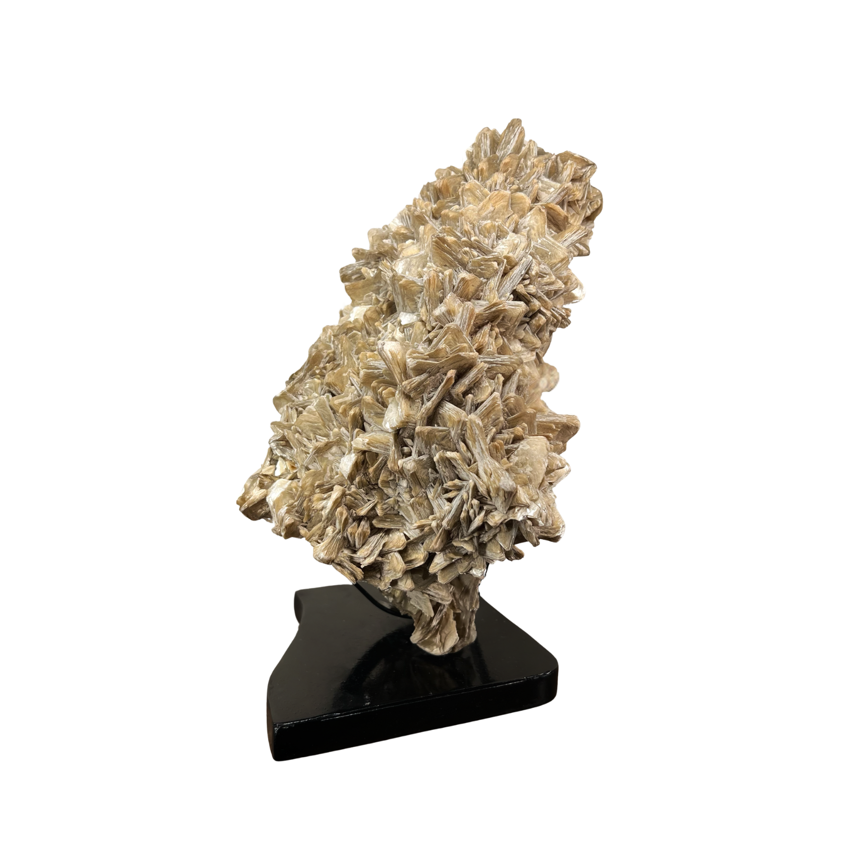 Gold Star Mica Crystal Cluster