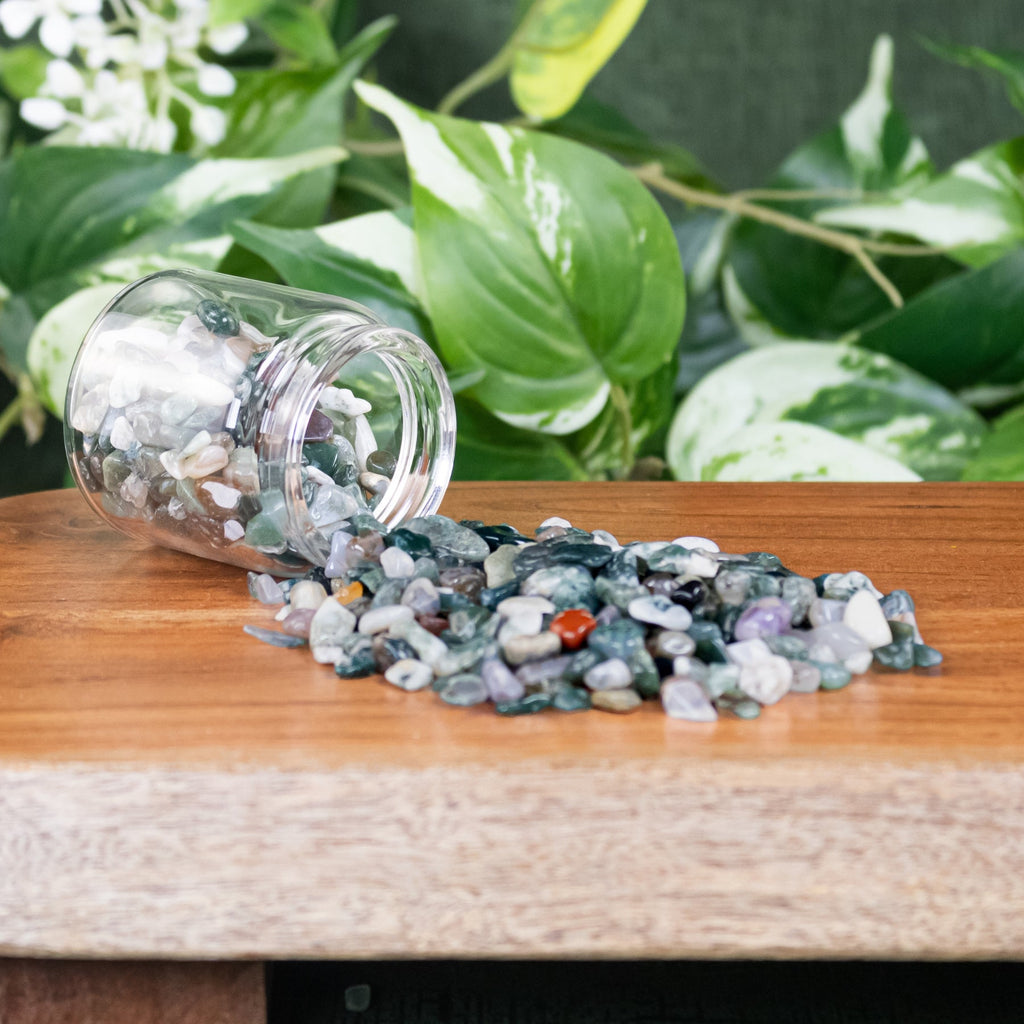 Green Moss Agate Crystal Chips 1lb