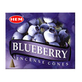 HEM Blueberry Incense Cones | Incense | Wiccan Center