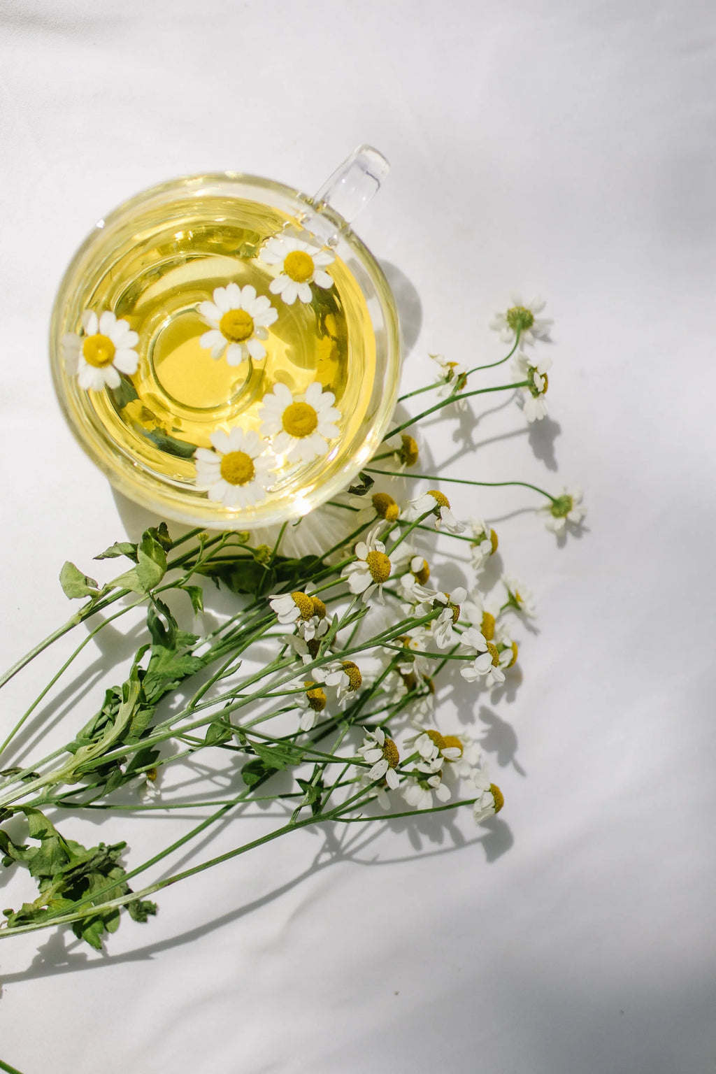 Soft Chamomile Medley Herbal Tea | Tea | Wiccan Center