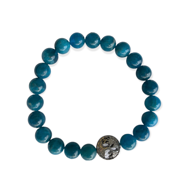 Blue Apatite Bracelet 8 mm Round Beads | Bracelets | Wiccan Center