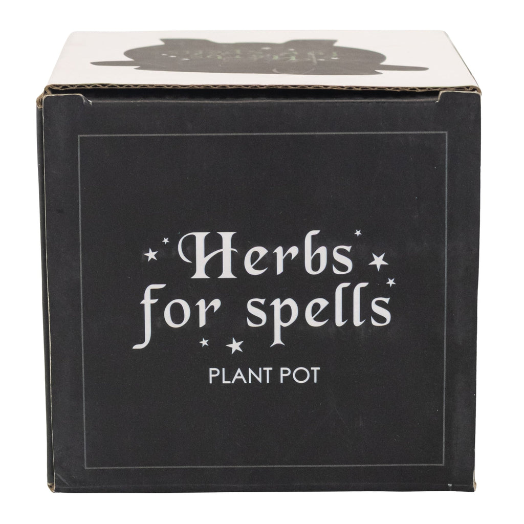 Herbs for Spells Cauldron Planter | | Wiccan Center