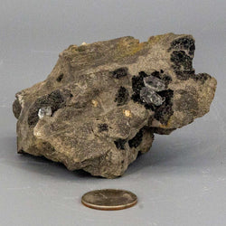 Herkimer Diamond in Matrix Host Rock 3+ | Raw | Wiccan Center
