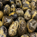 10 LB Septarian Freeform Mixed Lot – Polished & Semi-Polished Assortment (No Selection)