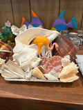 Chank & Mixed Seashells Novelty Light (Seahorse,  Palm Tree, Flamingo, Crucifix Or Marlin Accent)