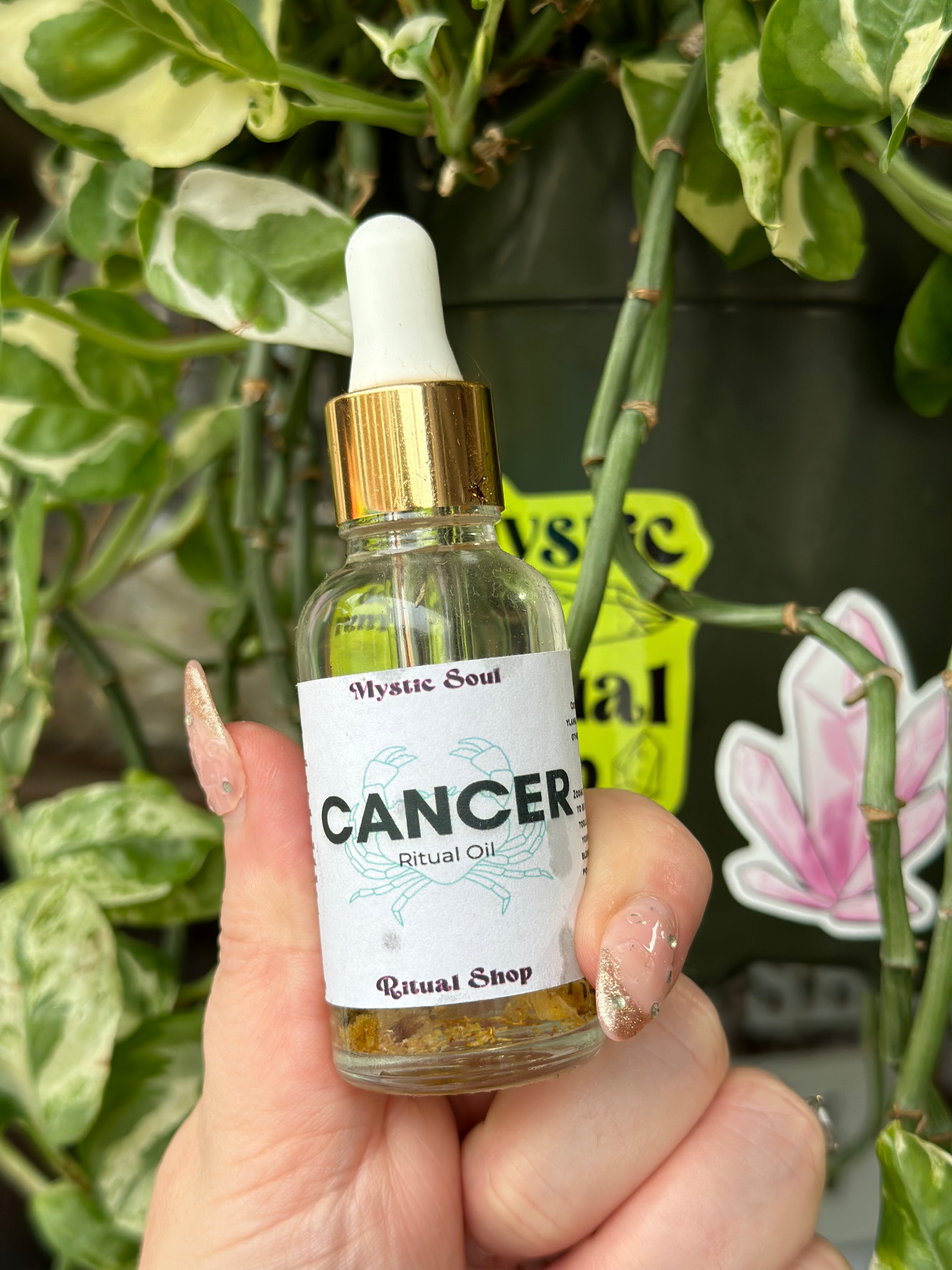 Zodiac Oils | Ritual Oil | Wiccan Center