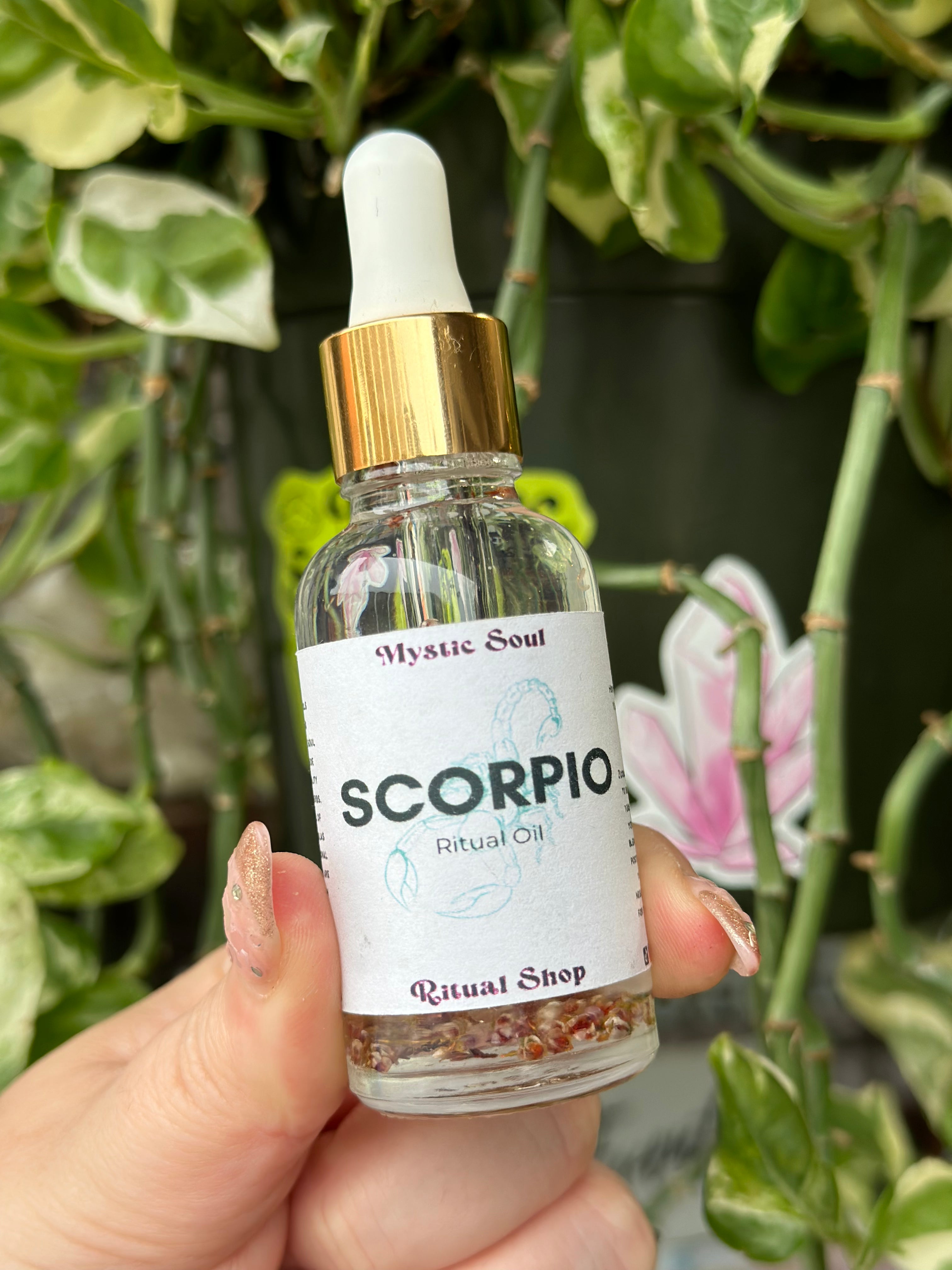 Zodiac Oils | Ritual Oil | Wiccan Center