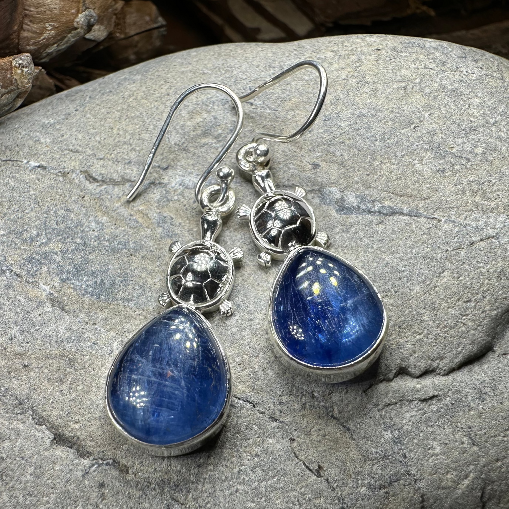 Friendly Turtle Earrings | Dangle Earrings | Wiccan Center