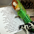 St. Brigid of Ireland Doll | Gifts | Wiccan Center