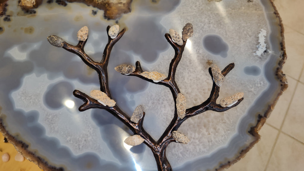 Fossilized Pine Cone 2" | Fossils | Wiccan Center