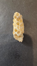 Fossilized Pine Cone 2" | Fossils | Wiccan Center