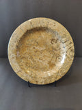 Coral Fossil Decorative Plate 8" | Lapidary | Wiccan Center
