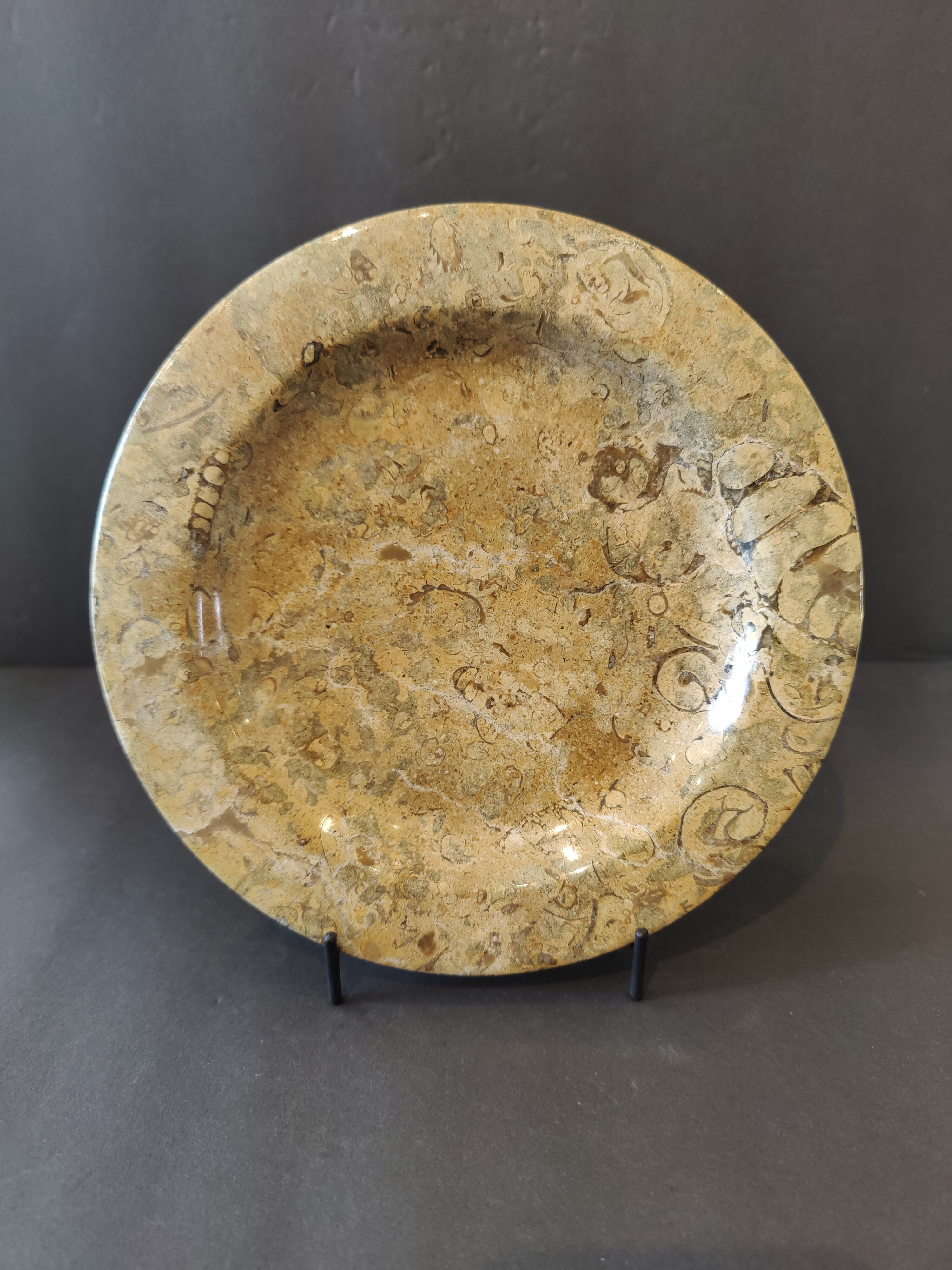Coral Fossil Decorative Plate 8" | Lapidary | Wiccan Center