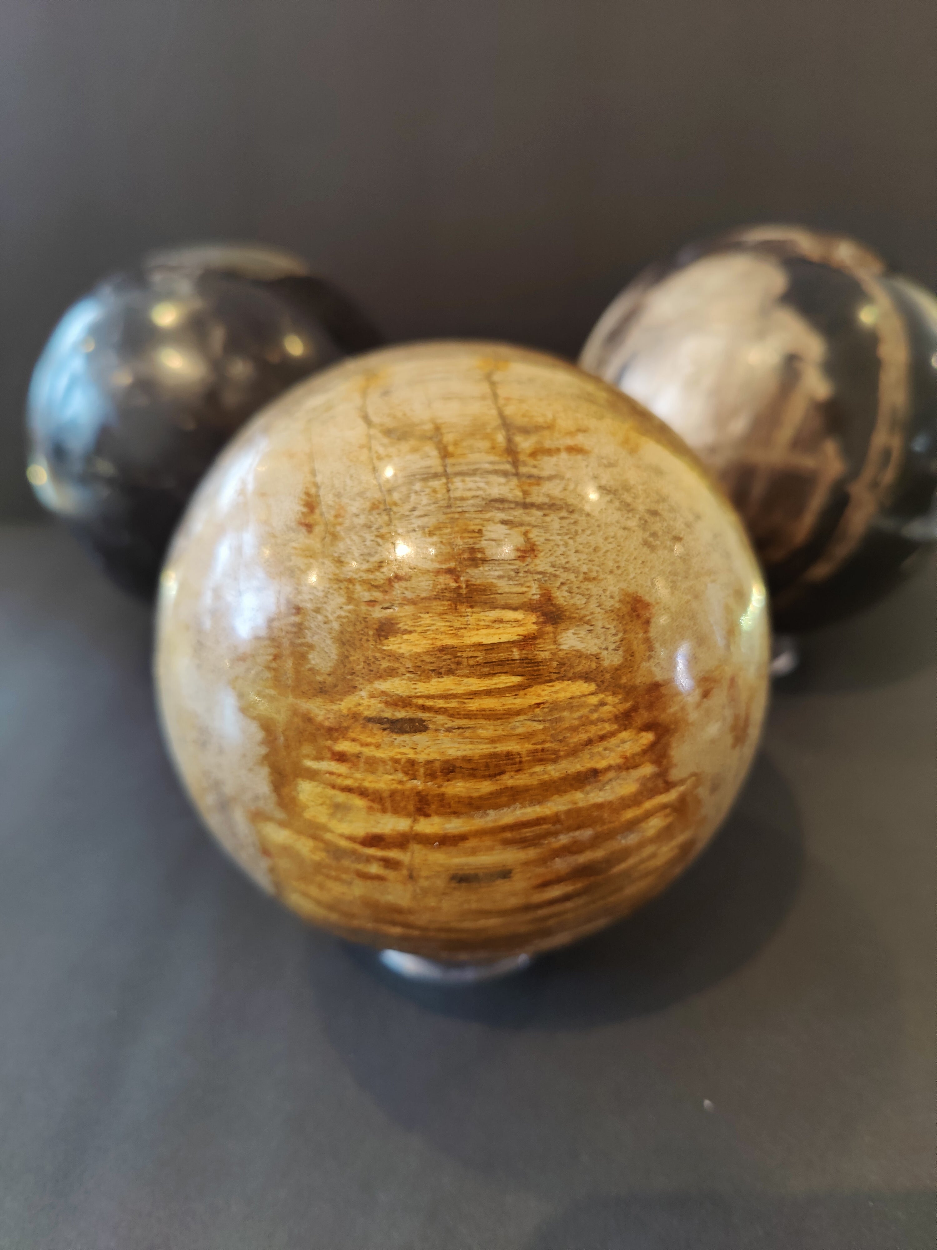 Petrified Wood Sphere | Lapidary | Wiccan Center