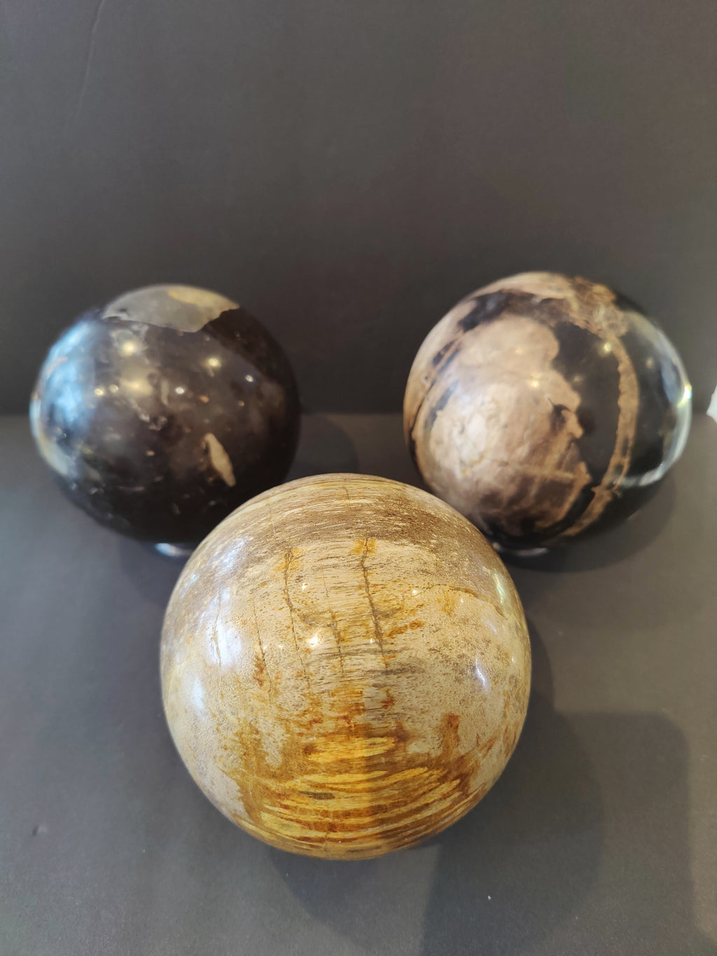 Petrified Wood Sphere | Lapidary | Wiccan Center