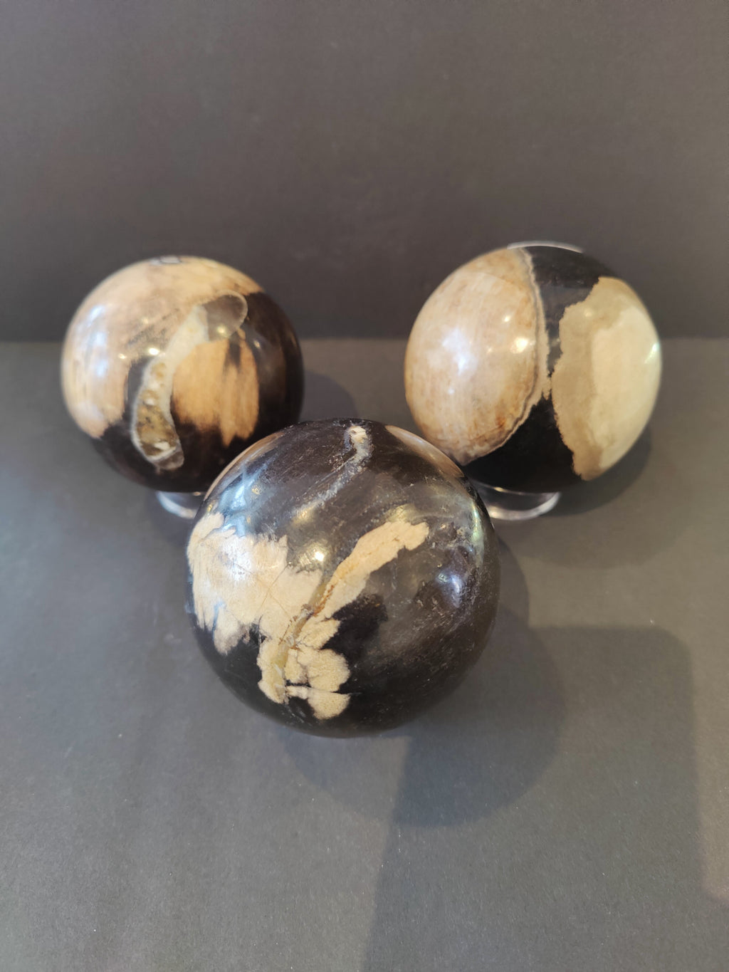 Petrified Wood Sphere | Lapidary | Wiccan Center