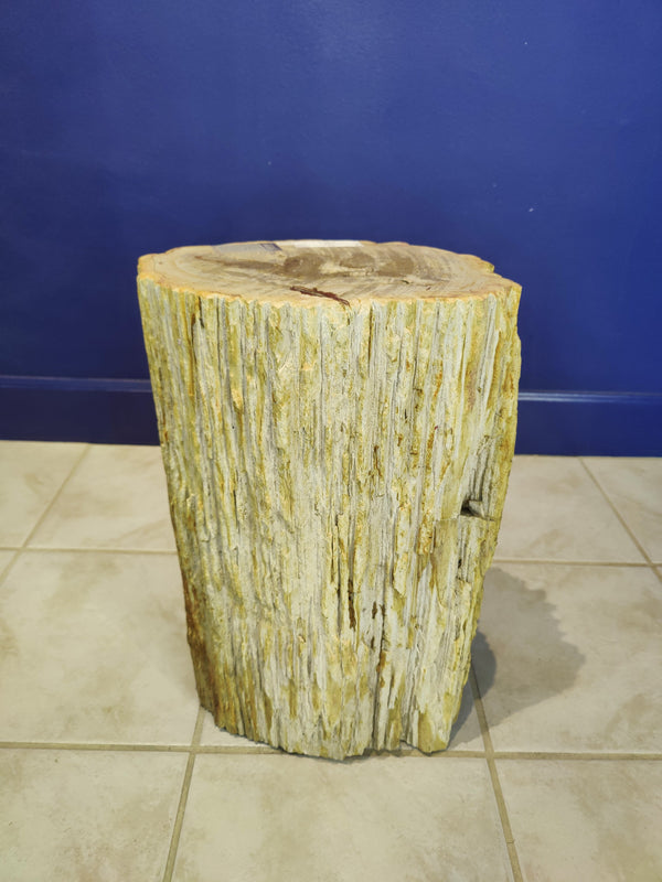 Petrified Wood Pedestal | Lapidary | Wiccan Center