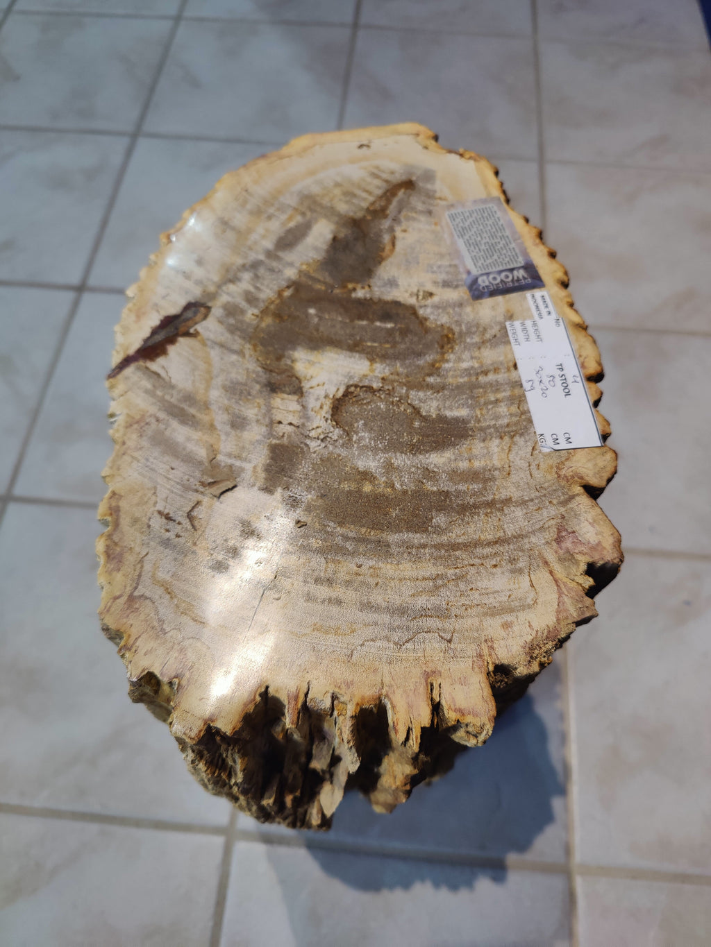 Petrified Wood Pedestal | Lapidary | Wiccan Center