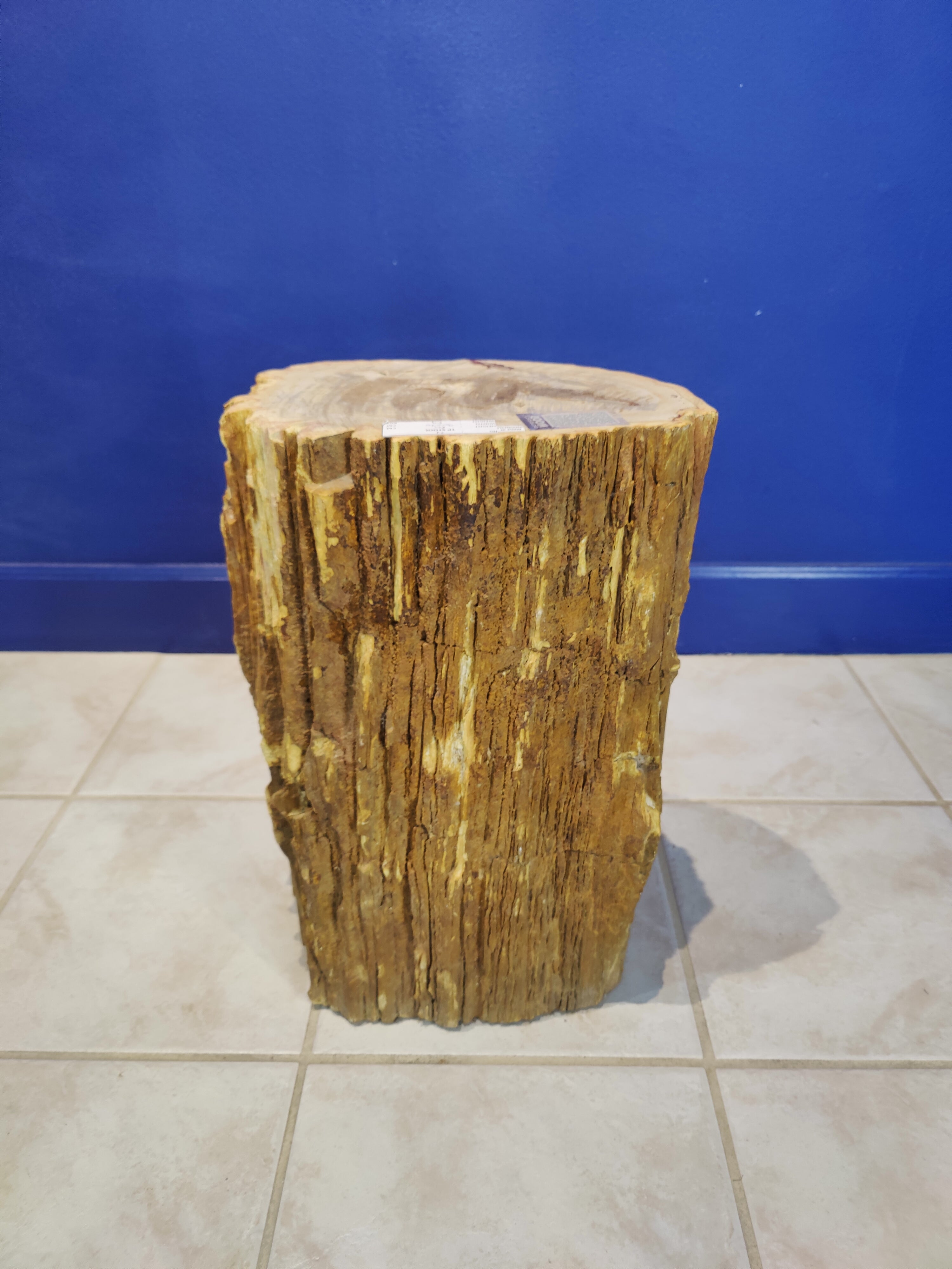 Petrified Wood Pedestal | Lapidary | Wiccan Center