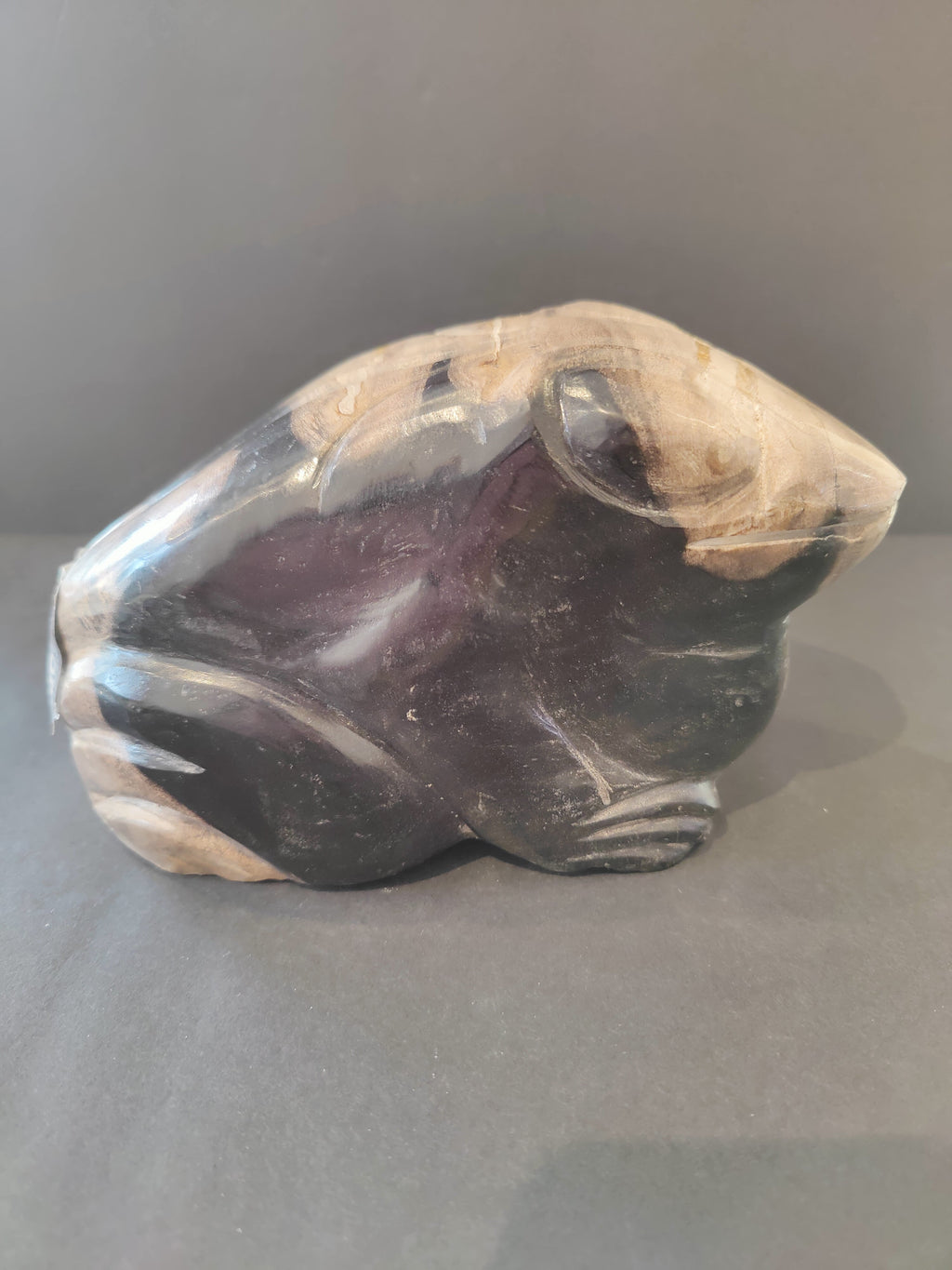 Petrified Wood Frog Sculpture | Lapidary | Wiccan Center