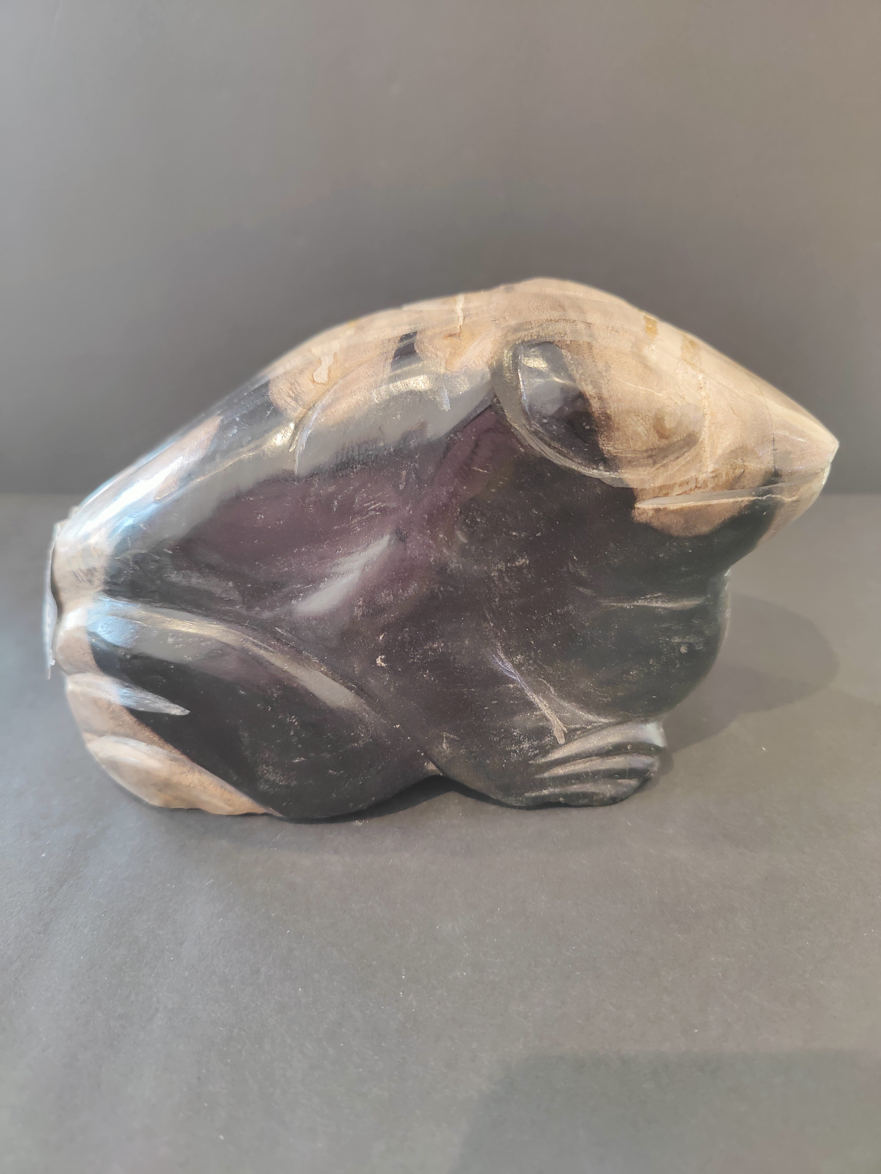 Petrified Wood Frog Sculpture | Lapidary | Wiccan Center