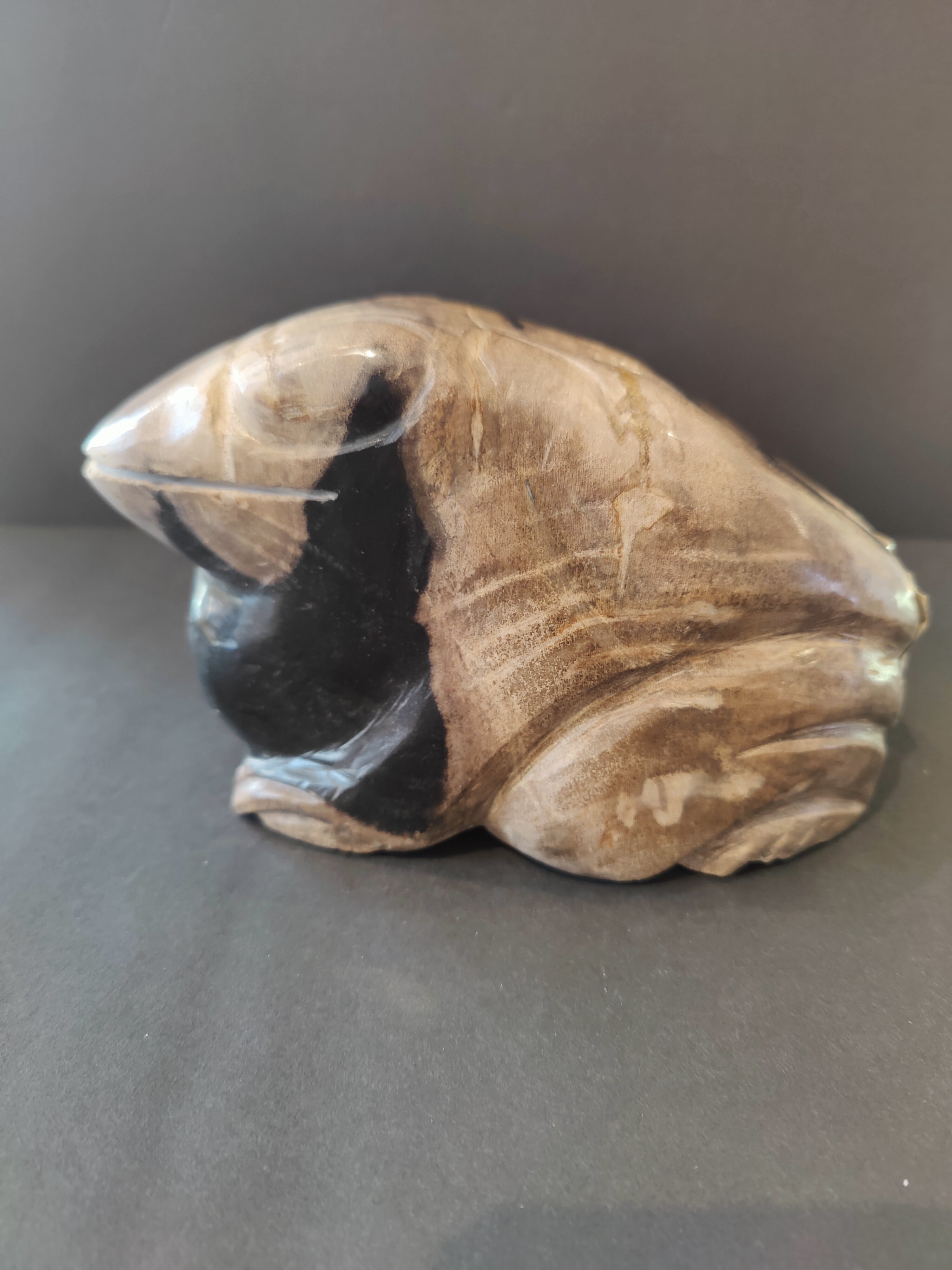 Petrified Wood Frog Sculpture | Lapidary | Wiccan Center