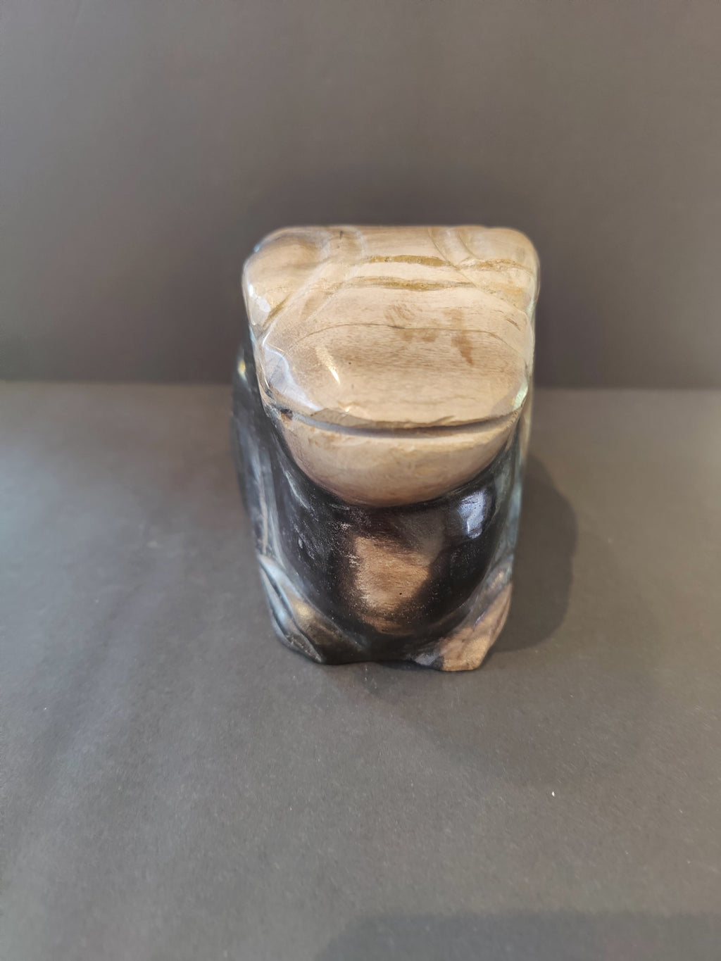 Petrified Wood Frog Sculpture | Lapidary | Wiccan Center