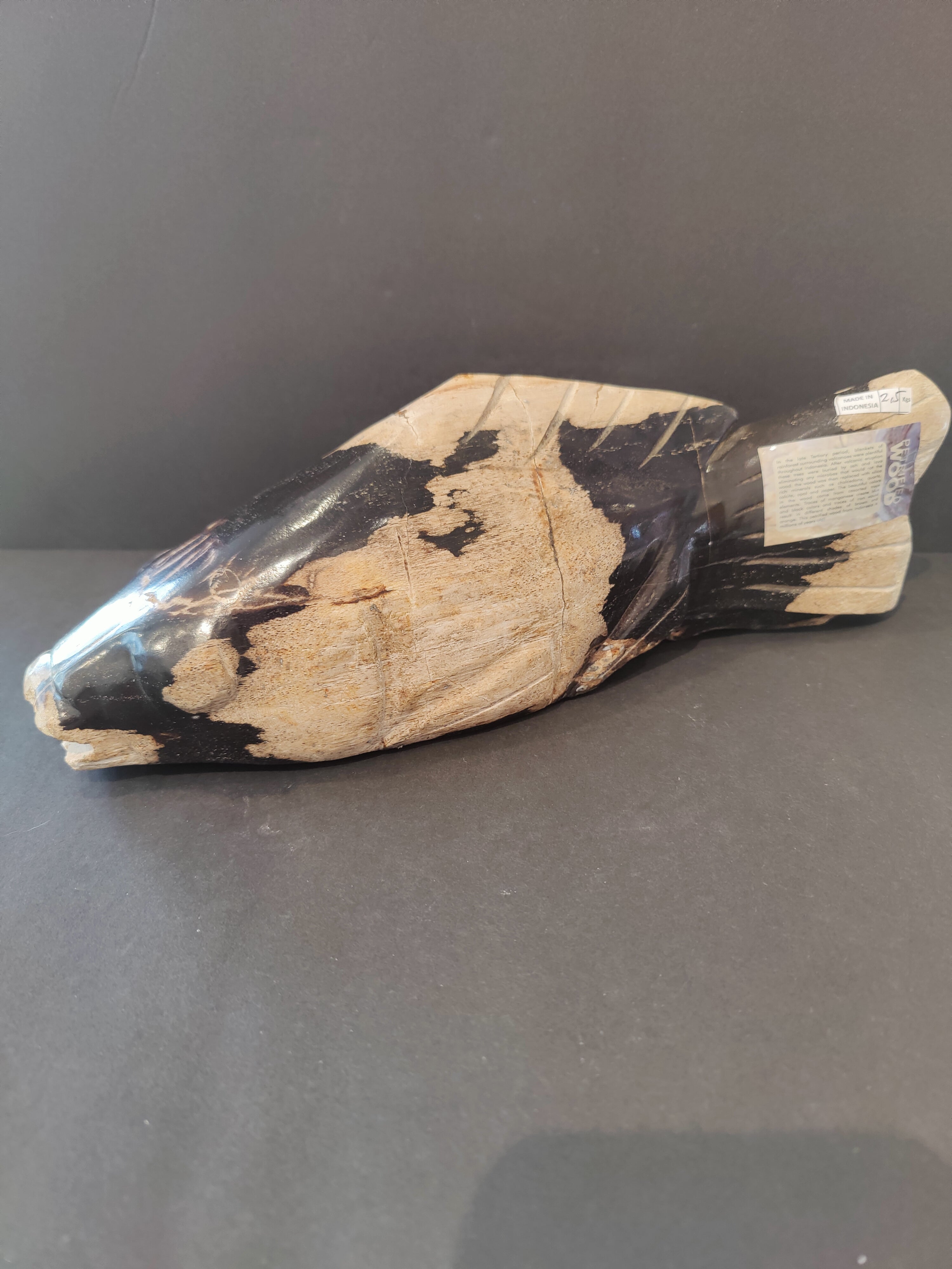 Petrified Wood Fish Sculpture | Lapidary | Wiccan Center
